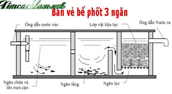 cach-xay-be-phot-3-ngan