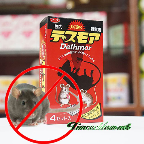 cach-duoi-chuot-ra-khoi-nha1