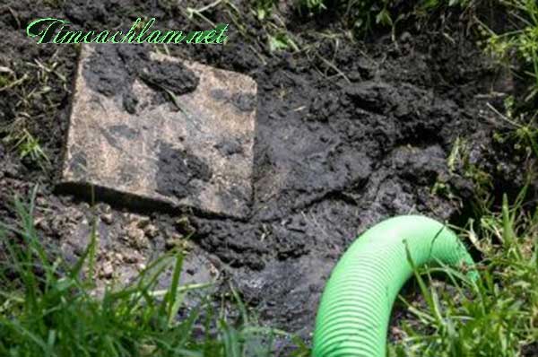 Dấu hiệu nhận biết bể phốt đã đầy, cần được hút ngay